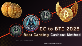 CC to BTC 2025.png