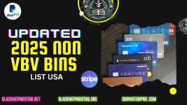 Updated 2025 Non VBV Bins List USA