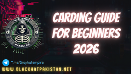 Carding Guide for Beginners 2026