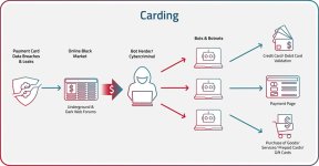 Cashing out Cards in Carding Methods 2026.jpg