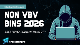 Non-VBV Bins List 2026.png