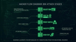 non vbv bins 2026 3.png
